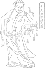 手太陰肺經之圖